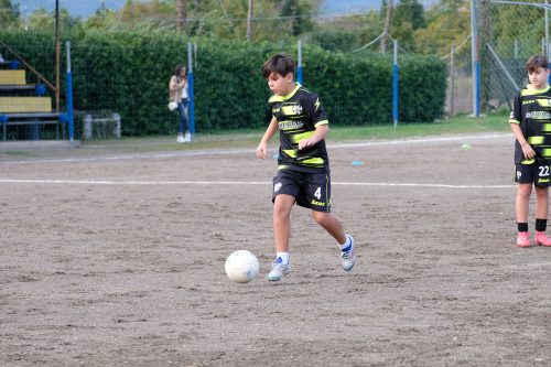 DSCF2481