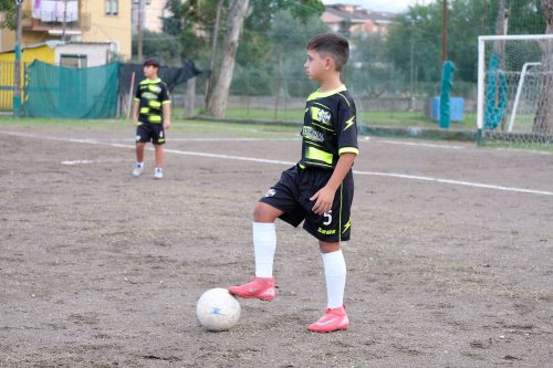 DSCF2503