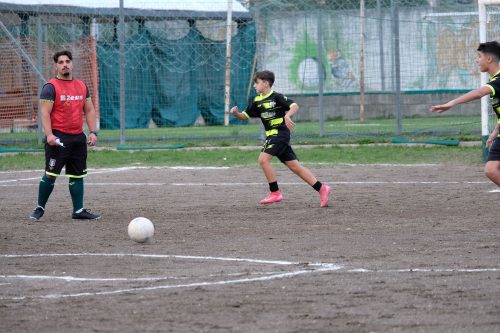 DSCF2510