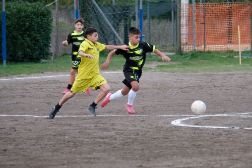 DSCF2514