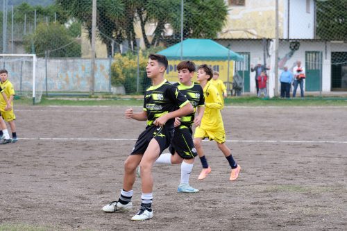 DSCF2522