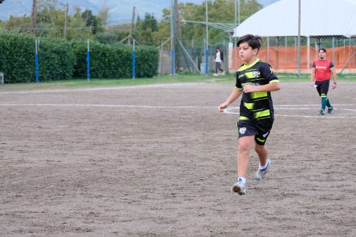 DSCF2523