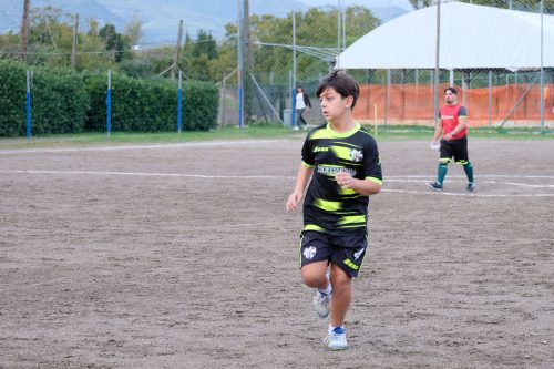 DSCF2524