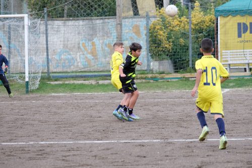 DSCF2530