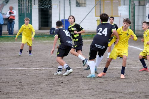 DSCF2534