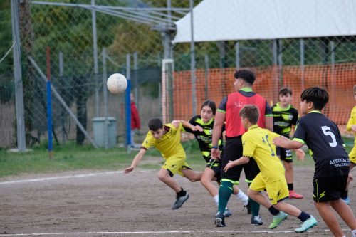 DSCF2541
