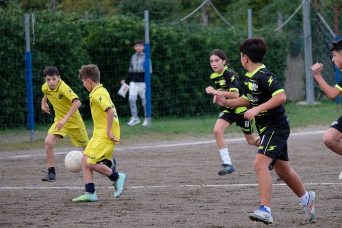 DSCF2542