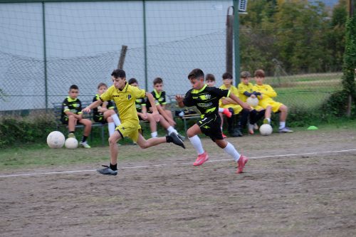 DSCF2545