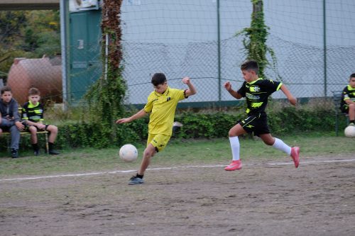 DSCF2546