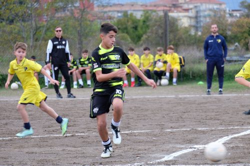 DSCF2558