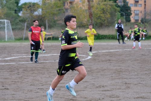 DSCF2576