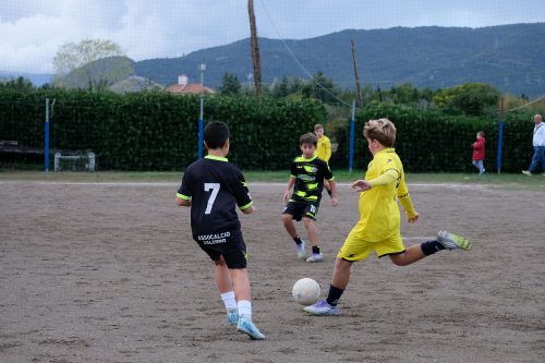 DSCF2578