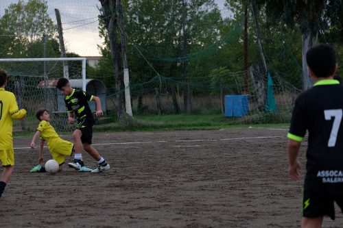 DSCF2596