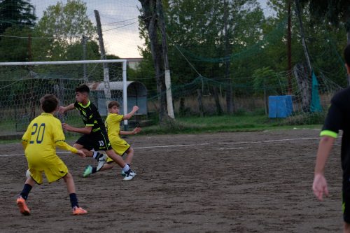 DSCF2597