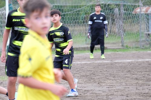 DSCF2611