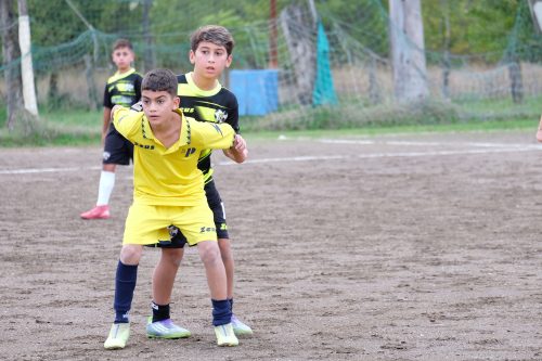 DSCF2613