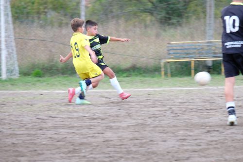 DSCF2630
