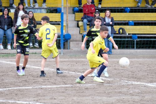 DSCF2640