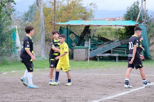 DSCF2649