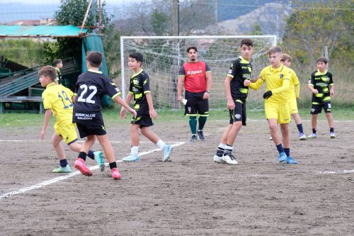 DSCF2653