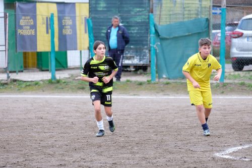 DSCF2692