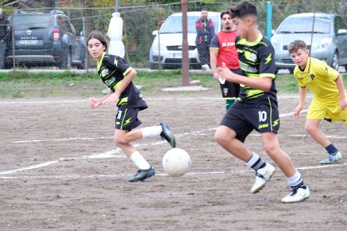 DSCF2698