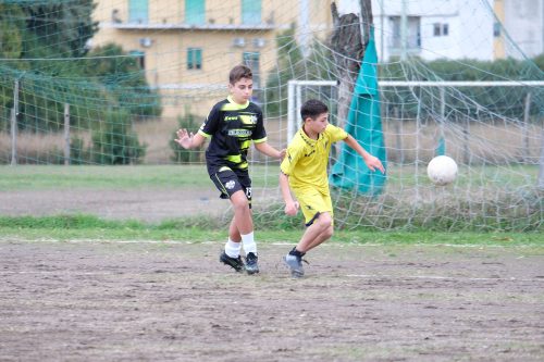 DSCF2715