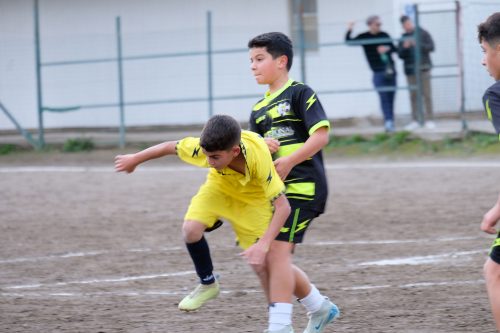 DSCF2771