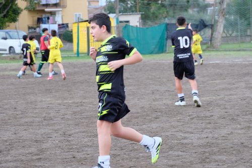 DSCF2803