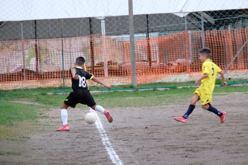 DSCF2927