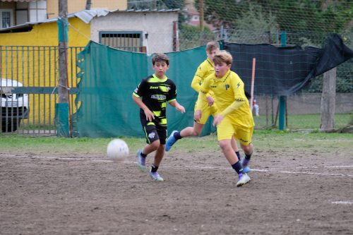 DSCF2941