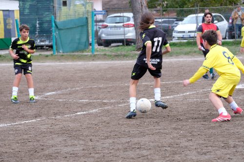 DSCF2960