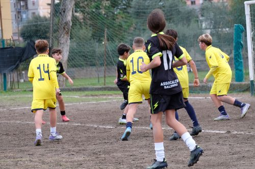 DSCF2985