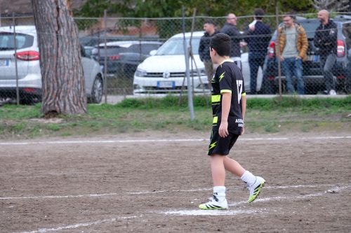DSCF2990
