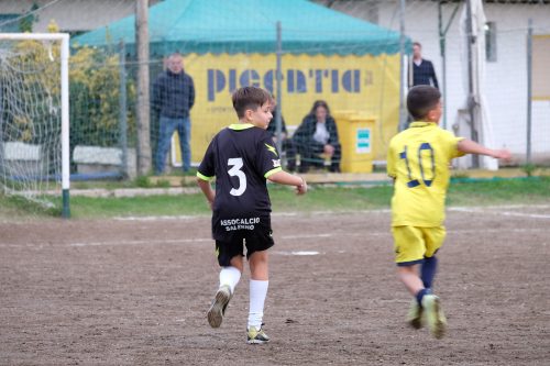 DSCF2997