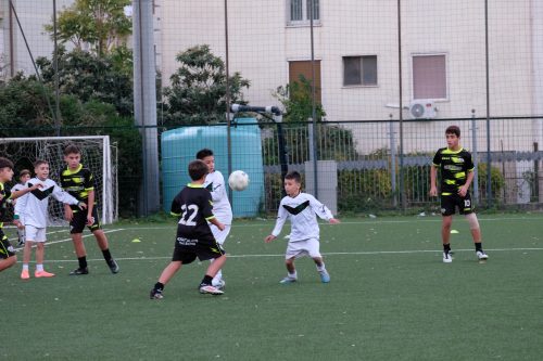 DSCF2206