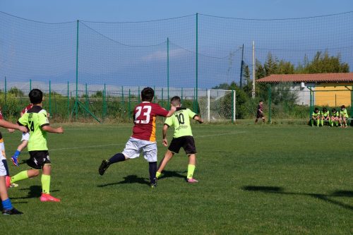 DSCF3907