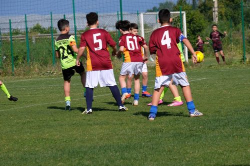 DSCF3917