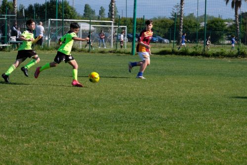 DSCF3929