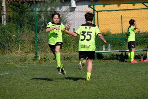 DSCF4003