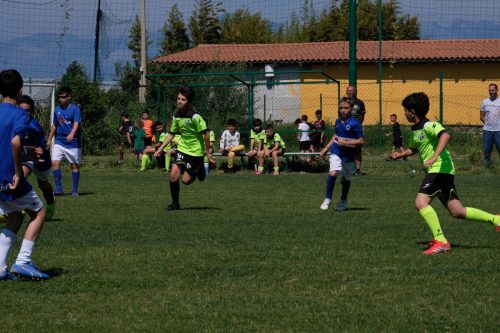 DSCF4073