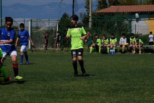 DSCF4075
