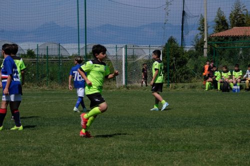 DSCF4078