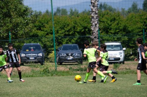 DSCF4341