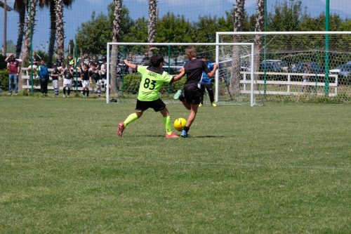 DSCF4370