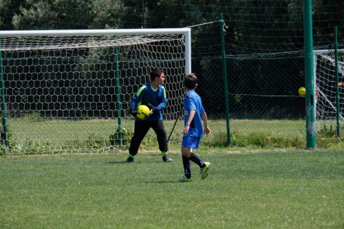 DSCF4433