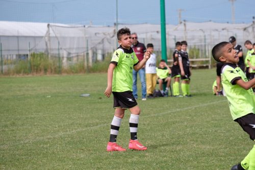 DSCF4712
