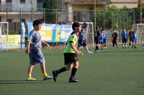 DSCF9179