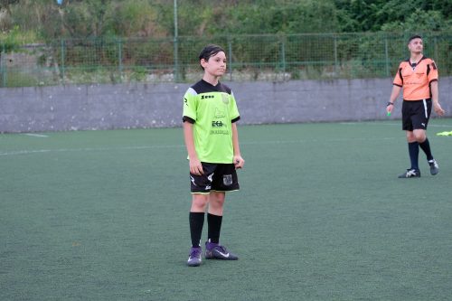 DSCF9809