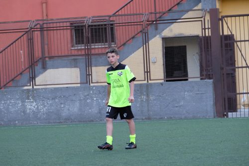 DSCF9826